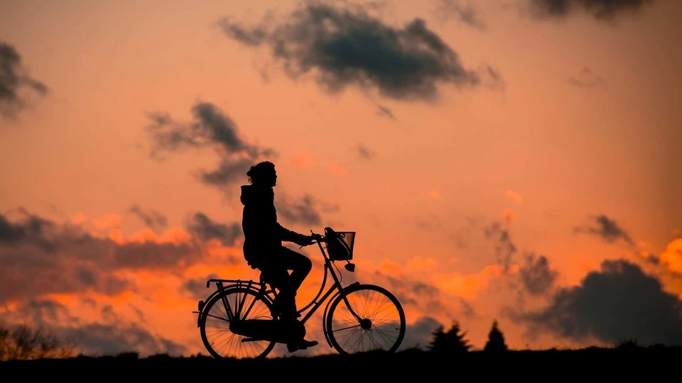 «Уставшего» велосипедиста успешно доставили домой. Фото носит иллюстративный характер. Источник: pixabay