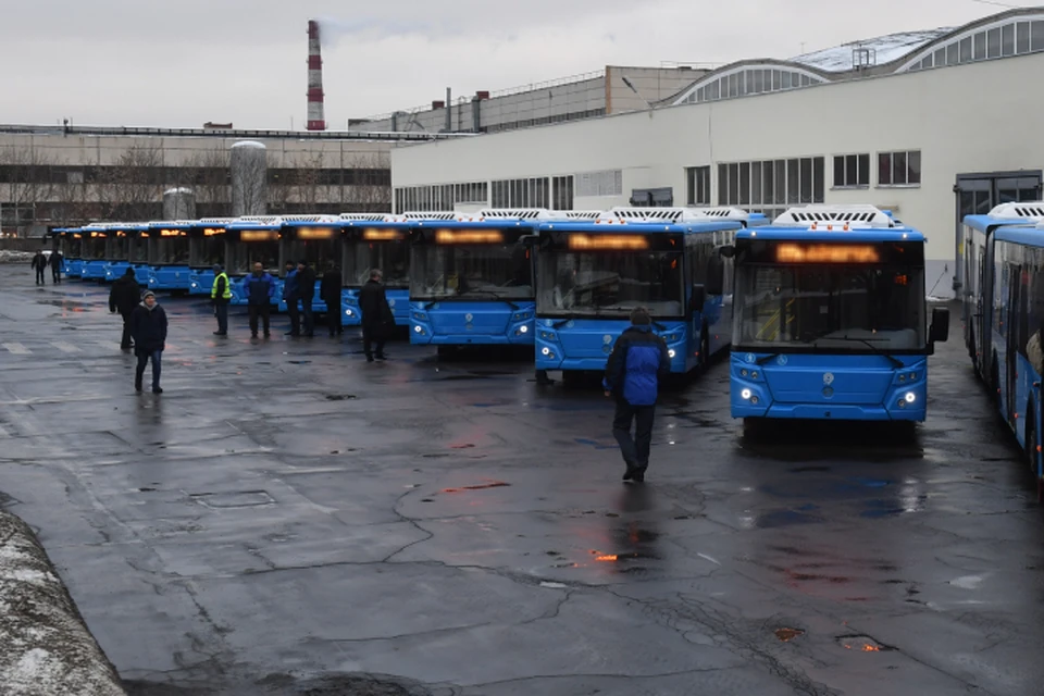 Всего компания закупит 51 автобус.