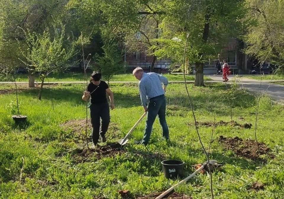 В Волгограде высадили несколько тысяч деревье и кустов. Фото: мэрия Волгограда