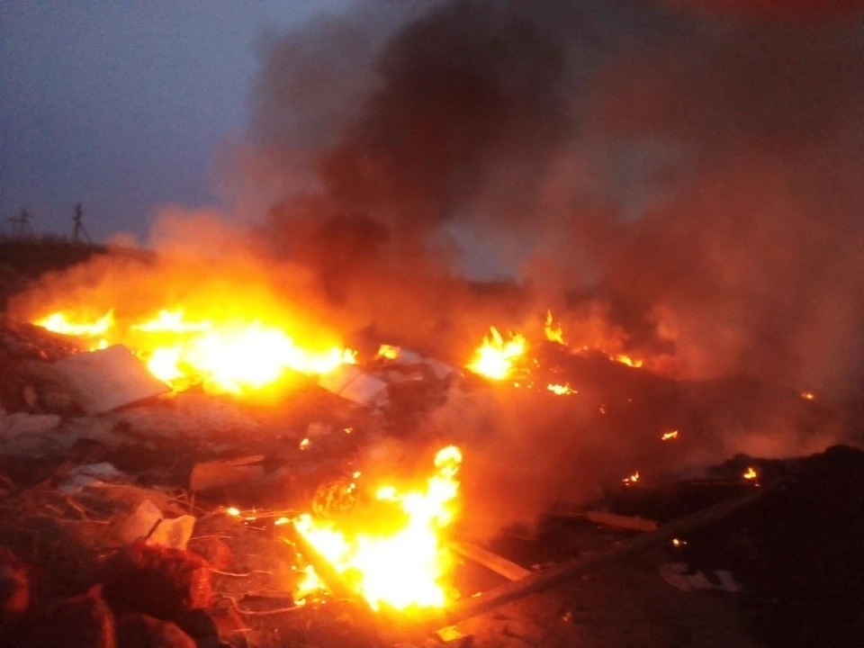 Сельская свалка загорелась возле села Городище