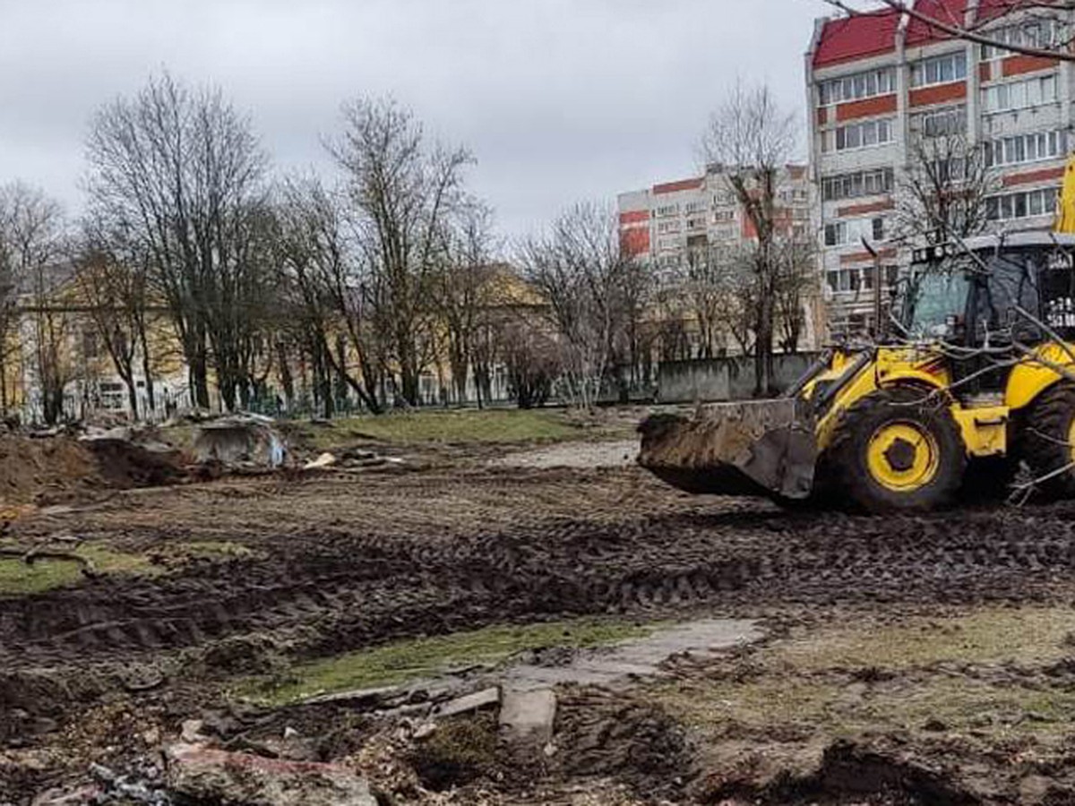 В Брянске в парке 