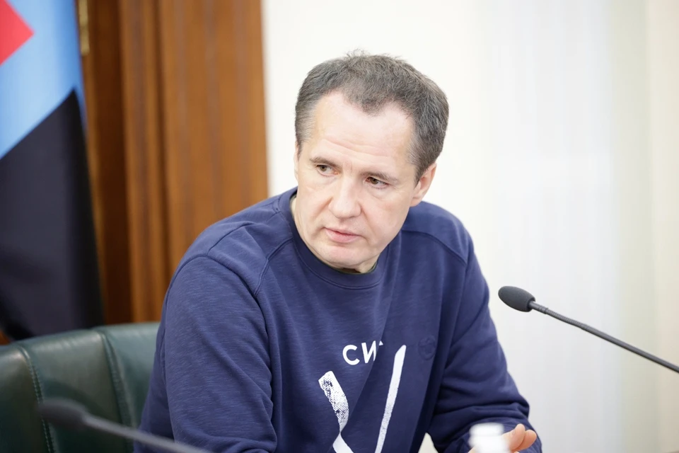 Вячеслав Гладков рассказал о последствиях обстрела Нехотеевки 5 мая. фото: с сайта губернатора и правительства Белгородской области.
