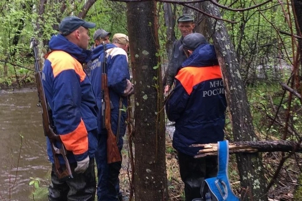 Спасатели прочесали более 40 километров леса