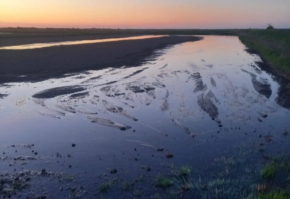 Так выглядят рисовые чеки (стоячие водоемы, построенные для выращивания риса) в Нижнегорском районе Крыма. Фото: Антон Кравец/Telegram