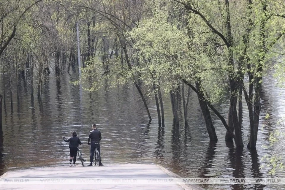 Уровень воды смоленск сож. Гомель половодье. Паводок в Гомеле. Гомель река. Затоп набережной Гомель.