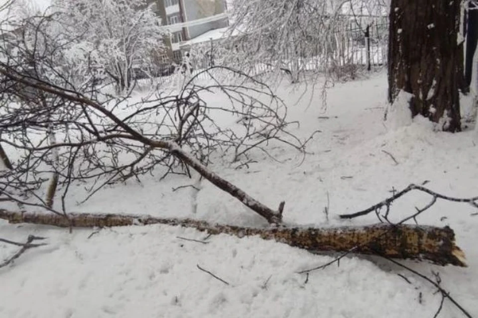 Сель, мокрый снег и ураганный ветер: мощный циклон накрыл Сахалинскую область. Фото: Ирина Викулина