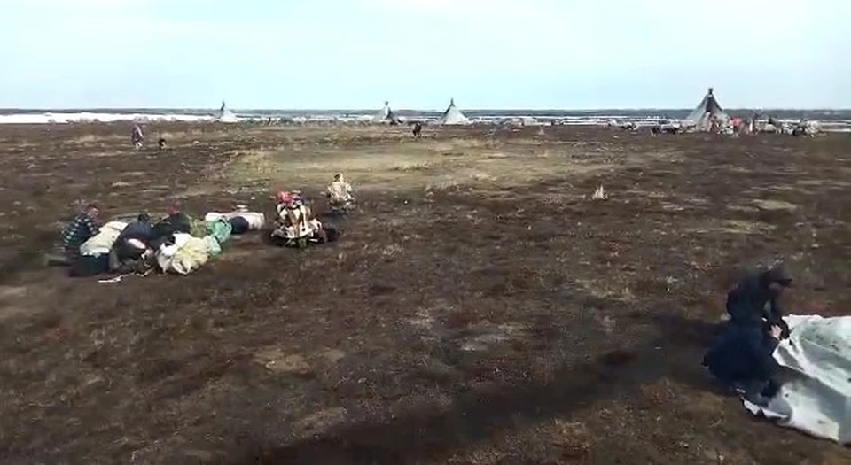 Фото: скриншот из видео