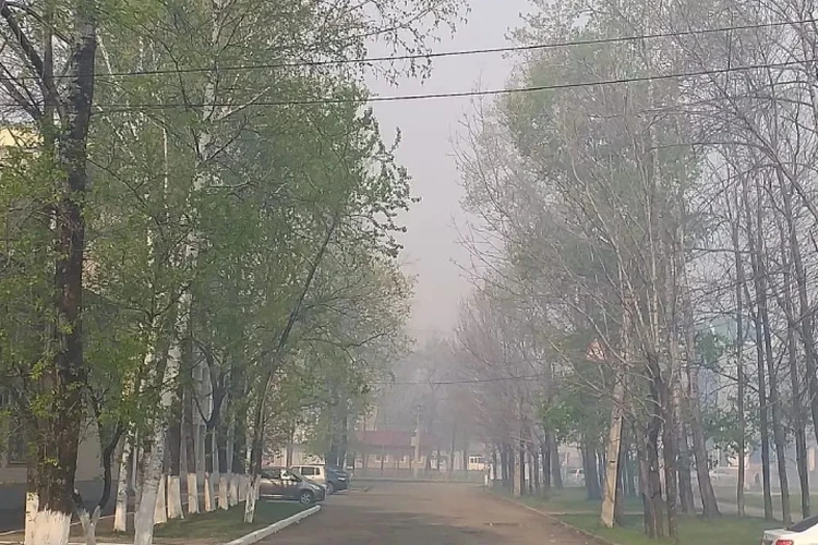 Биробиджан в кольце огня: столица ЕАО задыхается от дыма и запаха гари