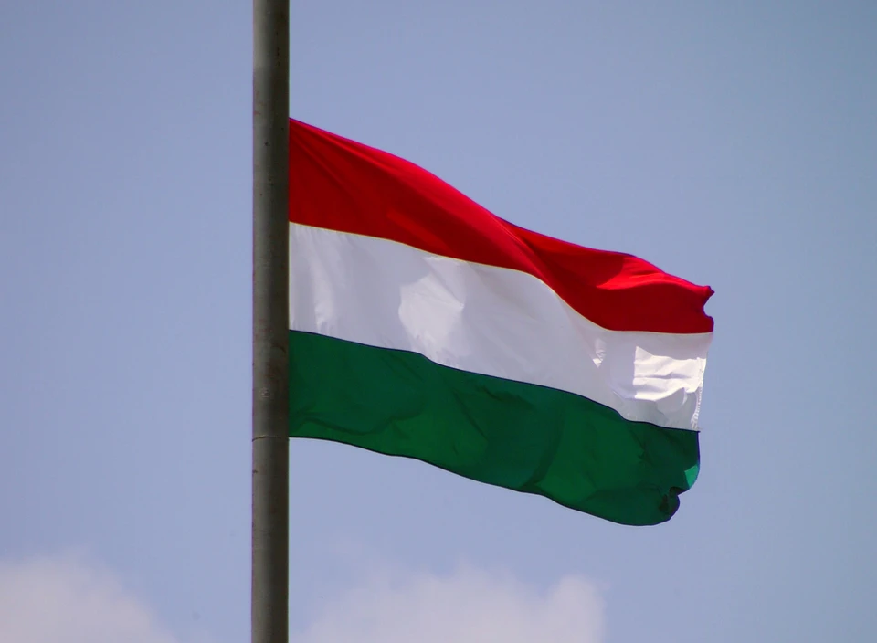 Политолог Трухачев объяснил, почему Венгрия оспаривает антироссийские санкции ЕС