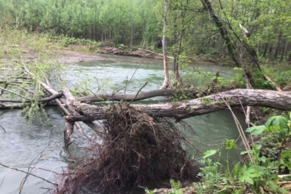 Унесло бурлящей рекой: на Сахалине трагически погибла 19-летняя девушка