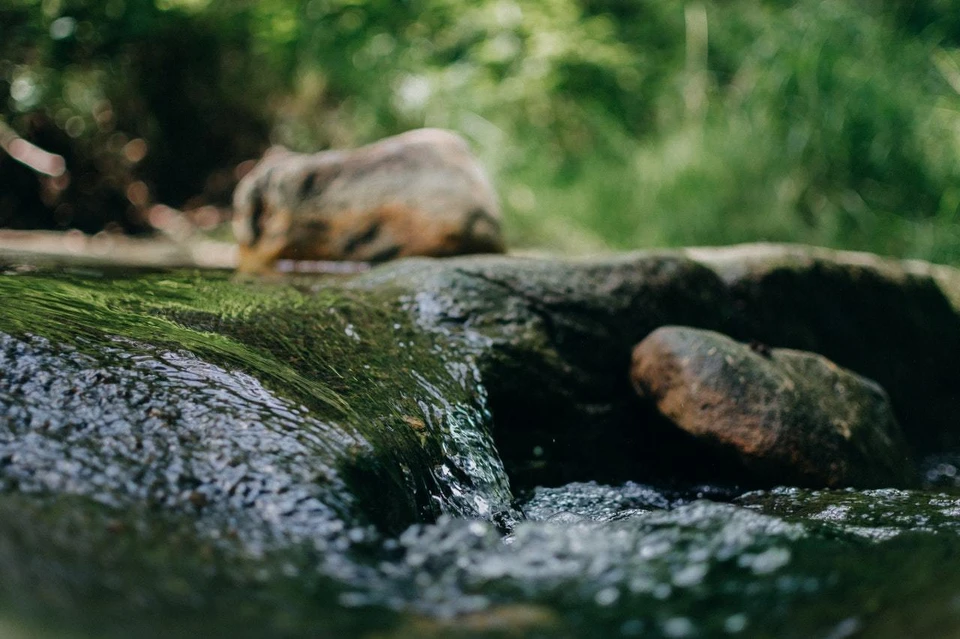Фото: pexels.com