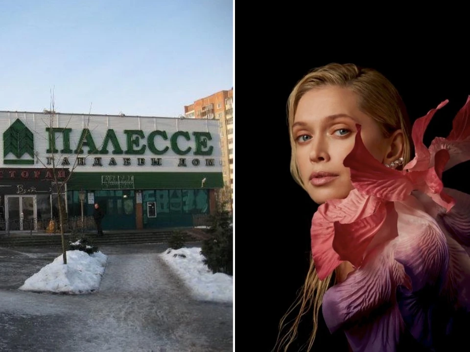 Про торговый дом «Полесье» все заговорили в конце июля 2021 года. Фото: Instagram Веры Брежневой и wikimapia.org