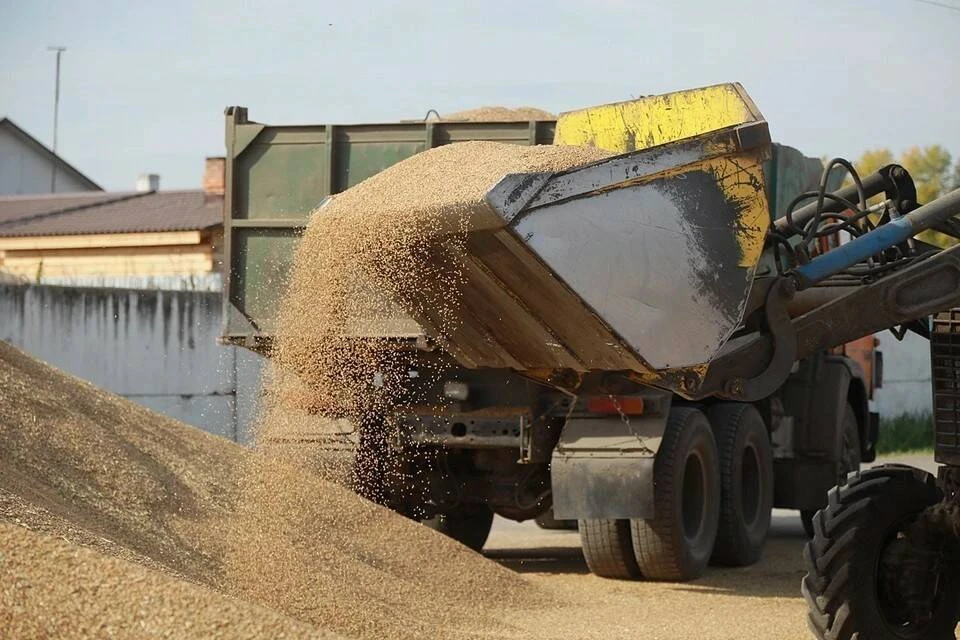 "Синьхуа": антироссийские санкции спровоцировали крупнейший продовольственный кризис в Европе
