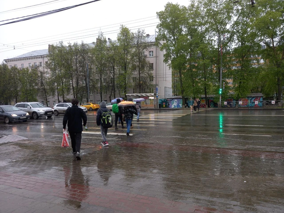 Нескончаемые проливные дожди и влажный промозглый ветер ожидаются в Нижегородской области в период с 27 по 29 июня