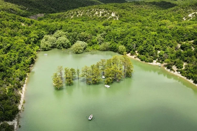 Изумрудные пейзажи: Кипарисовое озеро в Анапе манит туристов своей «амазонской» красотой