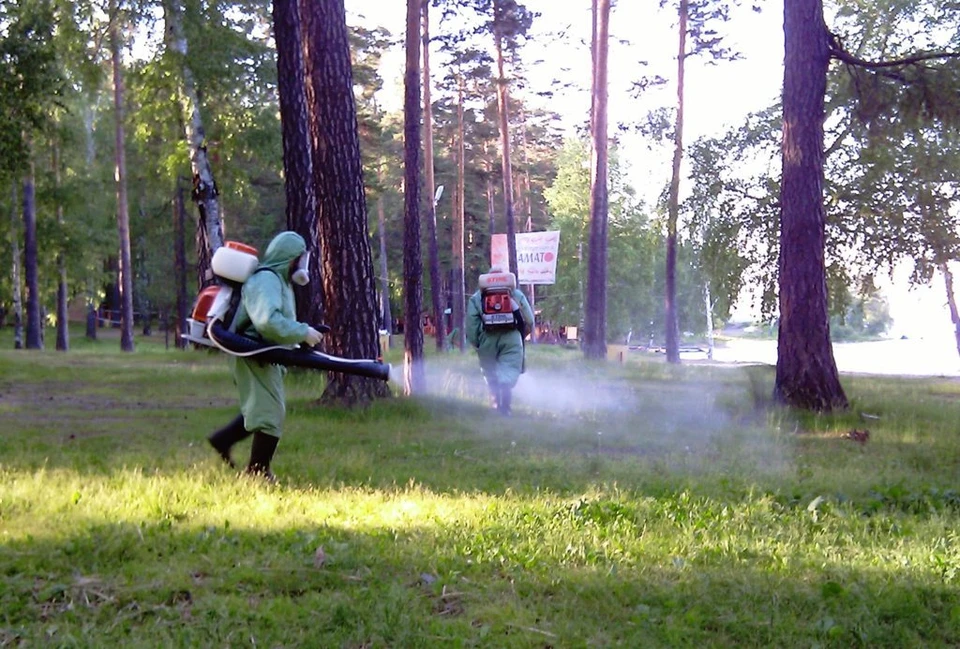 Источник фото: https://adm44.ru