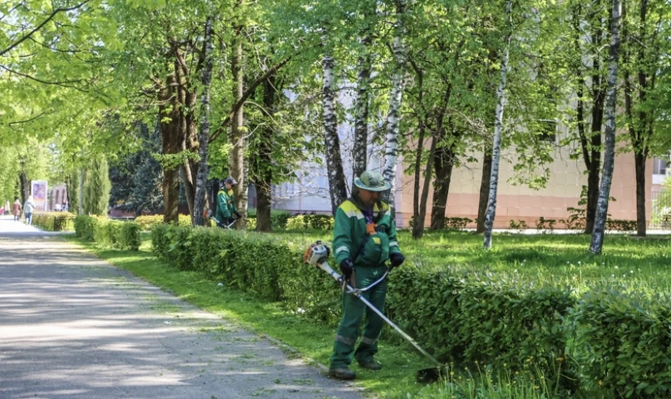 В Смоленске приводят в порядок парки и скверы. Фото: пресс-служба администрации города.
