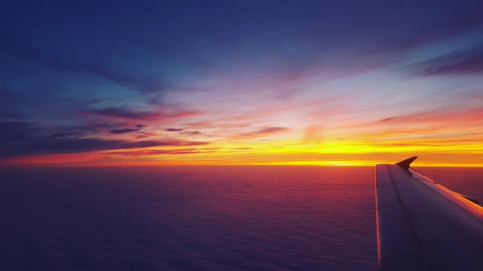 Фото: pexels.com