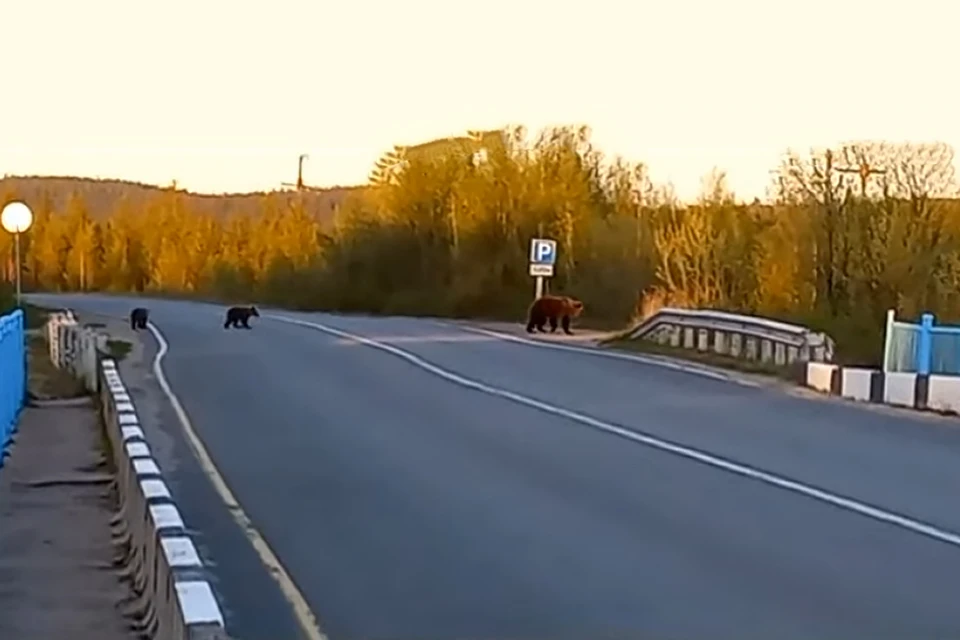 Водителям стоит быть осторожнее. Фото: скриншот видео