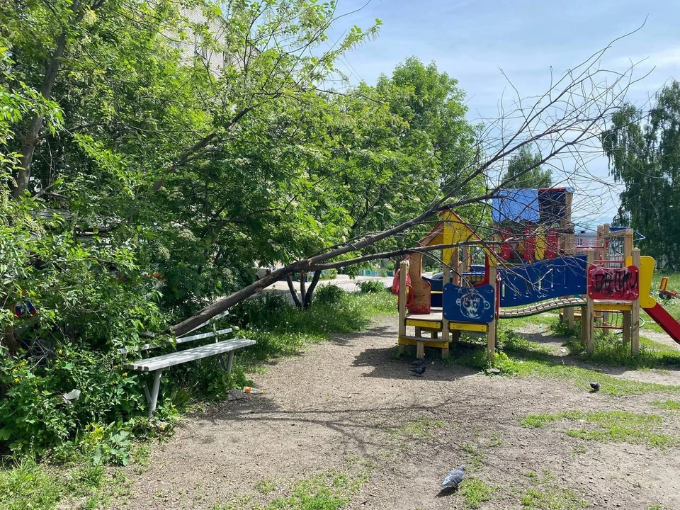 Фото: Управление гражданской защиты Ульяновска