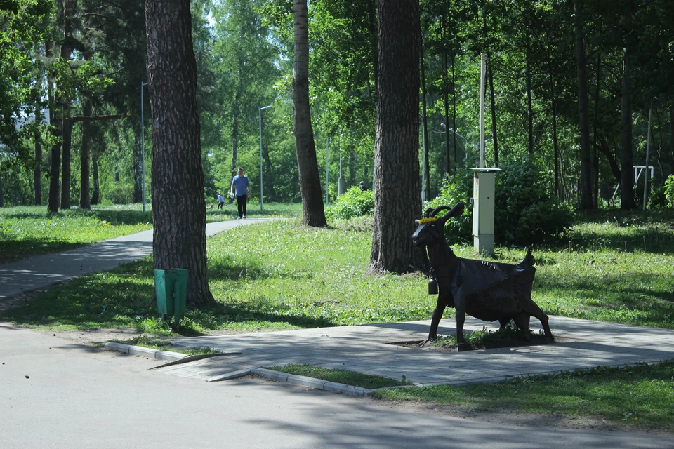 В Ижевске в ходе голосования победу одержал парк «Березовая роща»
