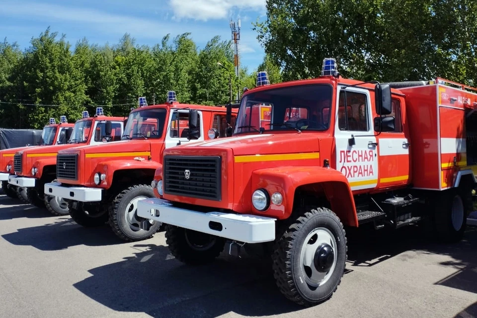 фото АВО