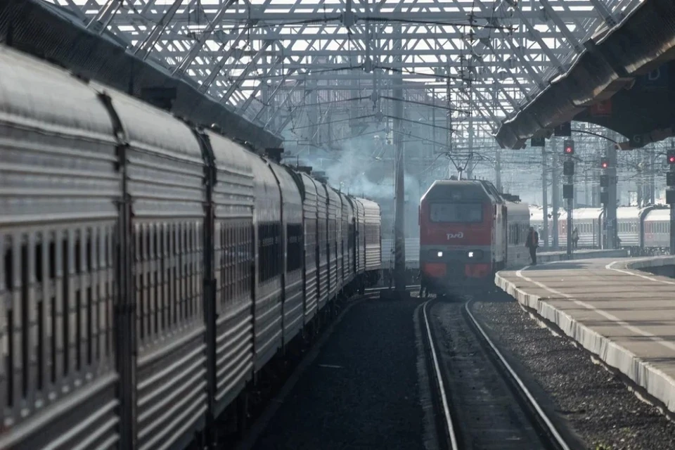Зацеперы попытались доехать в Петербург из Москвы между вагонами поезда