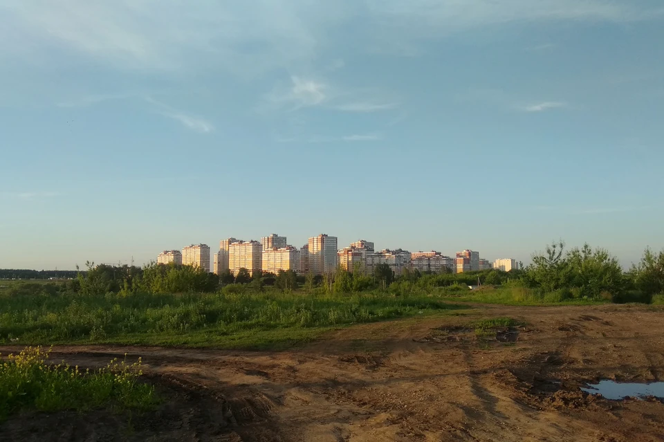 Тело студента нашли в пруду между Сырским Рудником и микрорайоном Елецкий