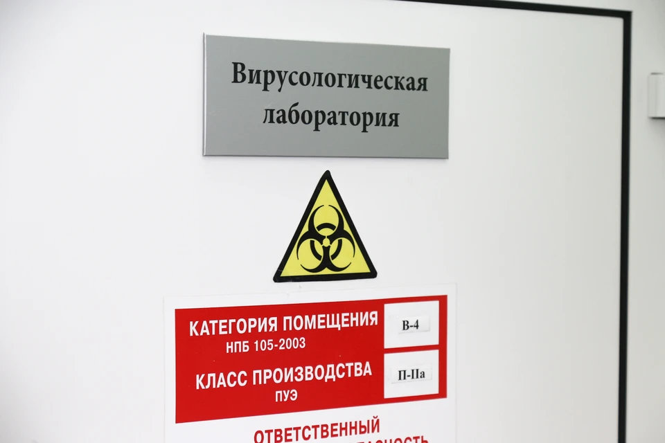 По оценкам ВОЗ, вирус будет распространяться все активнее. Фото: Дмитрий Селезнев