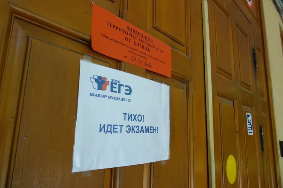 Тюменские выпускники могут узнать результаты ЕГЭ на портале Госуслуг.