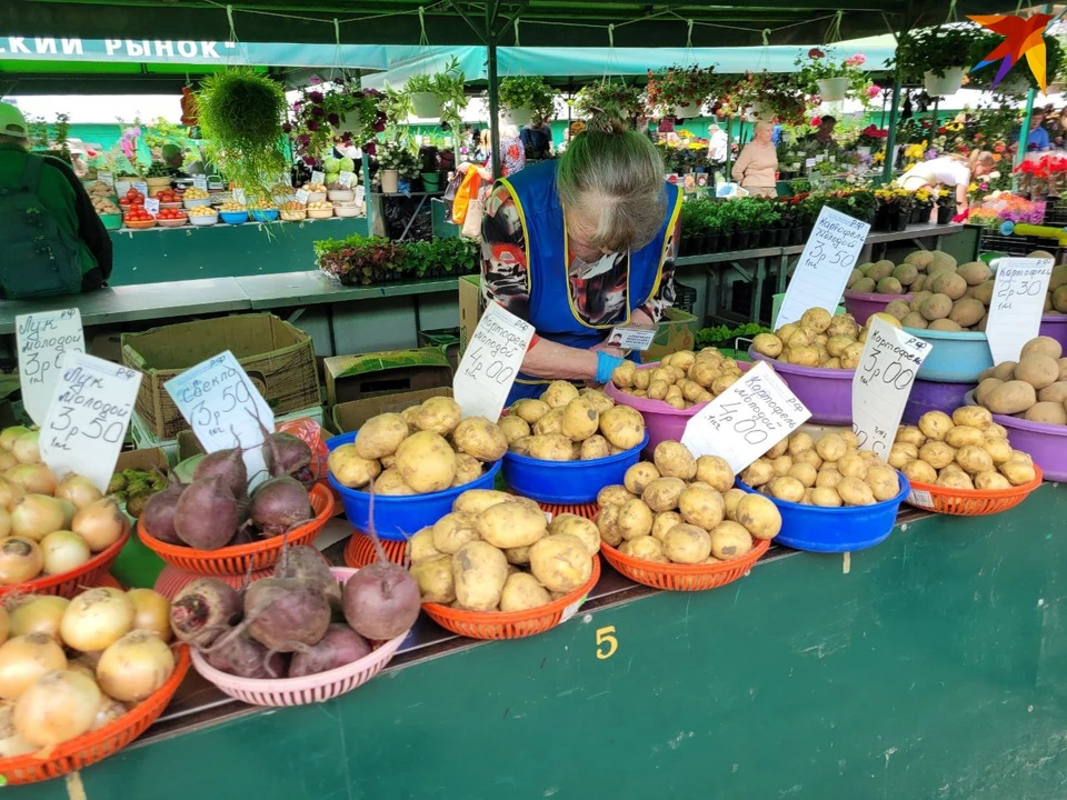 9 овощей. Овощной рынок. Фотосессия на рынке. Белорусский базар. Продукты на рынке фото.