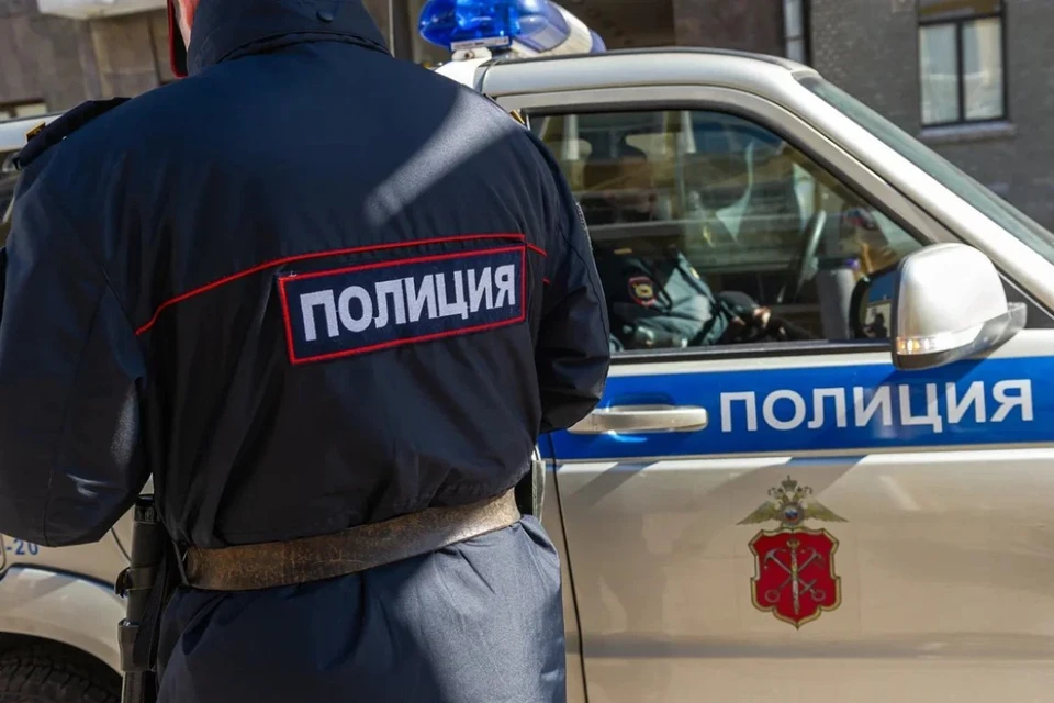 Пьяного водителя, уходившего от погони полицейских, арестовали на 12 суток в Петербурге