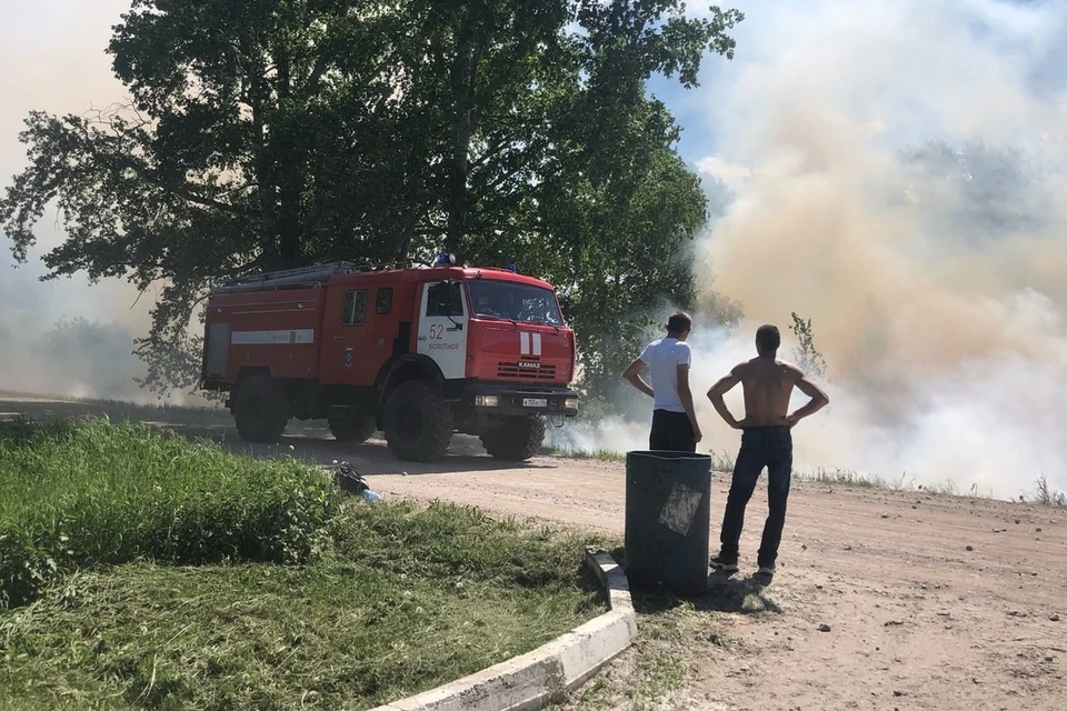 Поле вспыхнуло от одной спички. Фото: Анастасия Веселова из сообщества "Типичное Болотное" "ВКонтакте"