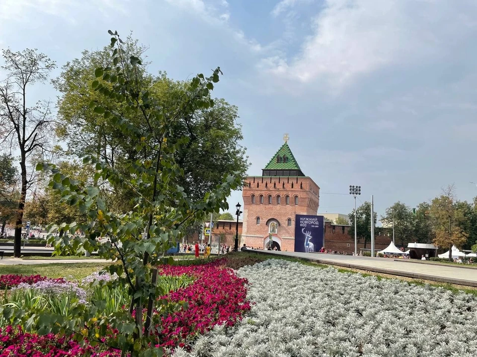 Теплая солнечная погода ожидается в Нижнем Новгороде на этой неделе.