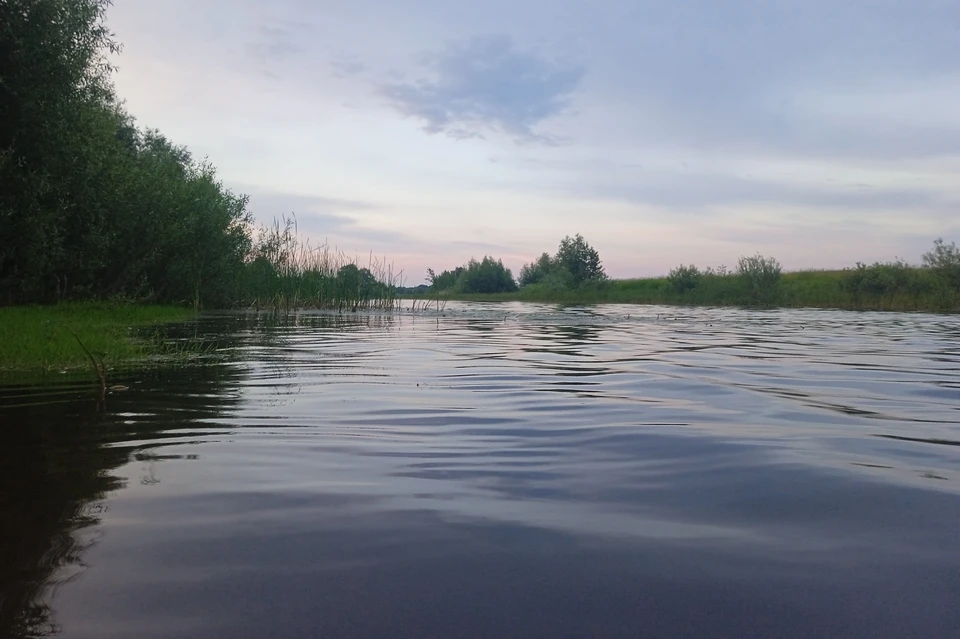 Липчан просят соблюдать правила безопасности на воде