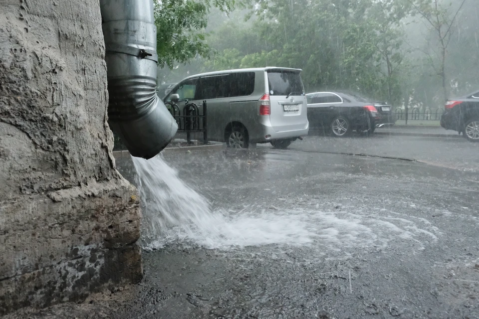 Петербург ждут грозы и ливни.