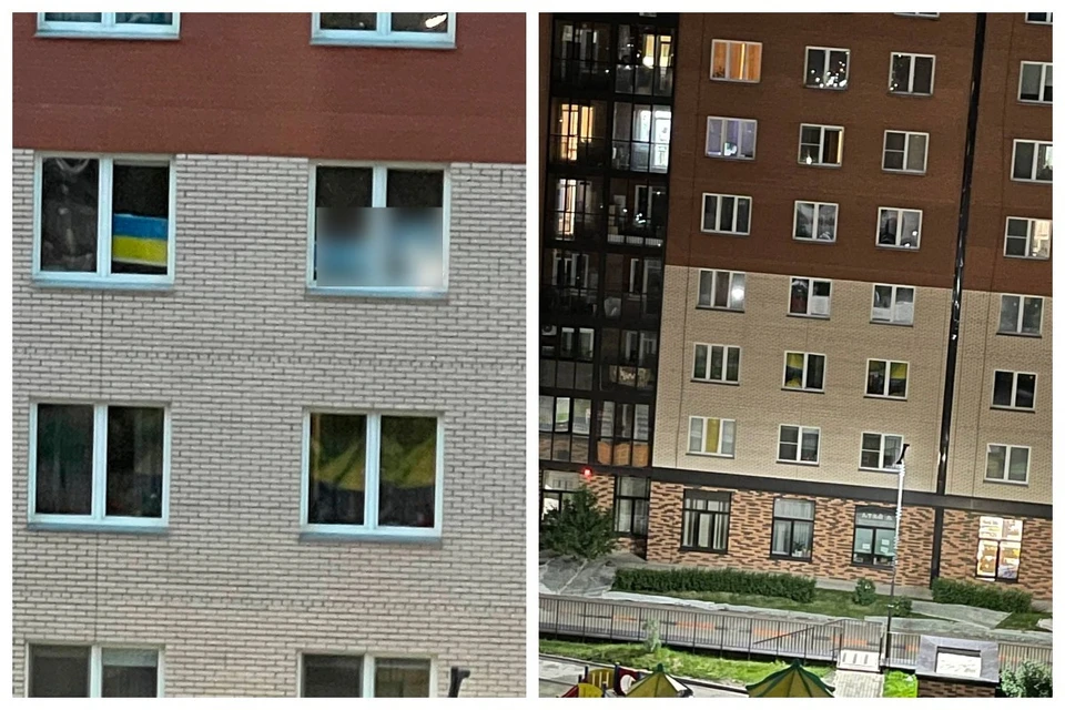 В Красноярске окна квартиры краской замазали краской из-за украинского флага и пацифистского плаката. Фото: Baza