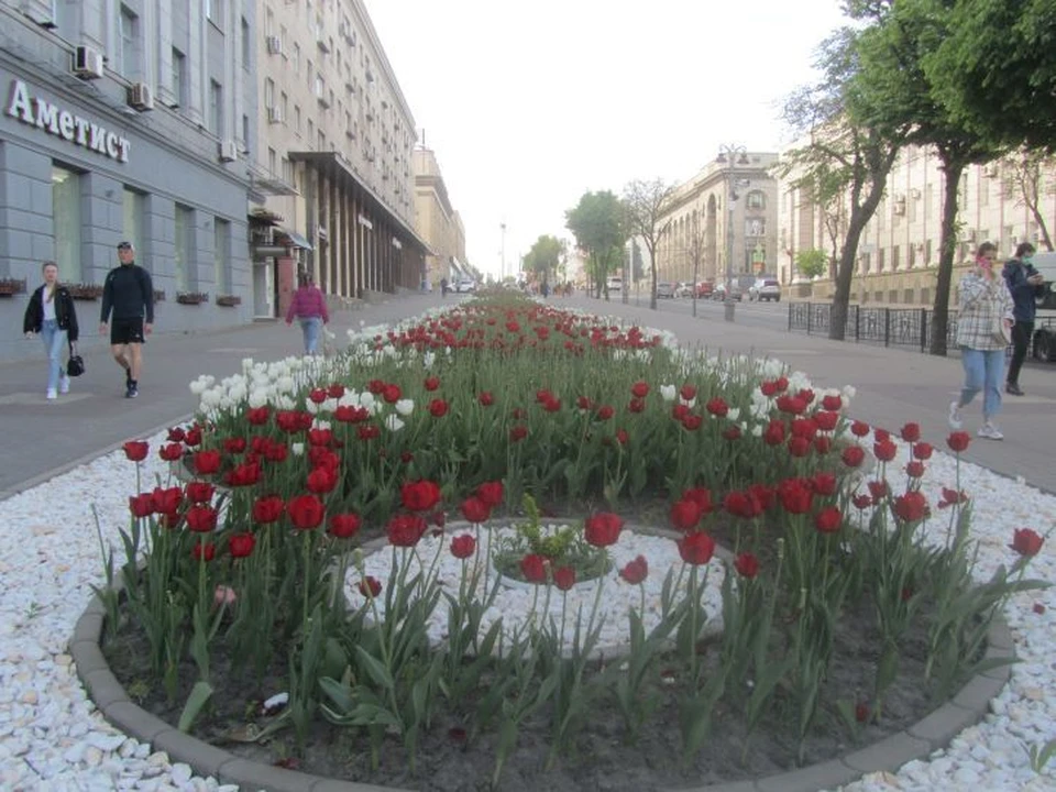 В регионе продолжает действовать "желтый" уровень террористической опасности