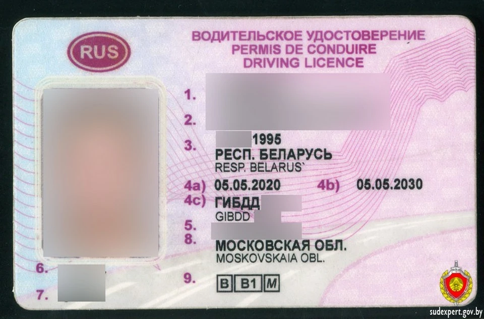 Документ у мужчины изъяли и отправили его на экспертизу. Фото: sudexpert.gov.by