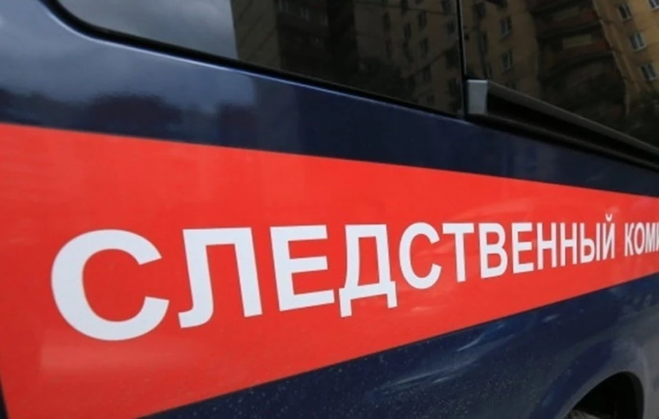 Фото: СУ СКР по Ульяновской области.