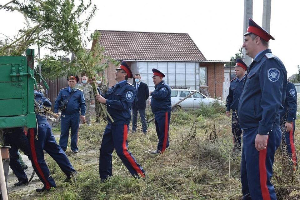 Первый выход казаков на борьбу с коноплей был проведен в 2018 году. Фото: сайт донского правительства.