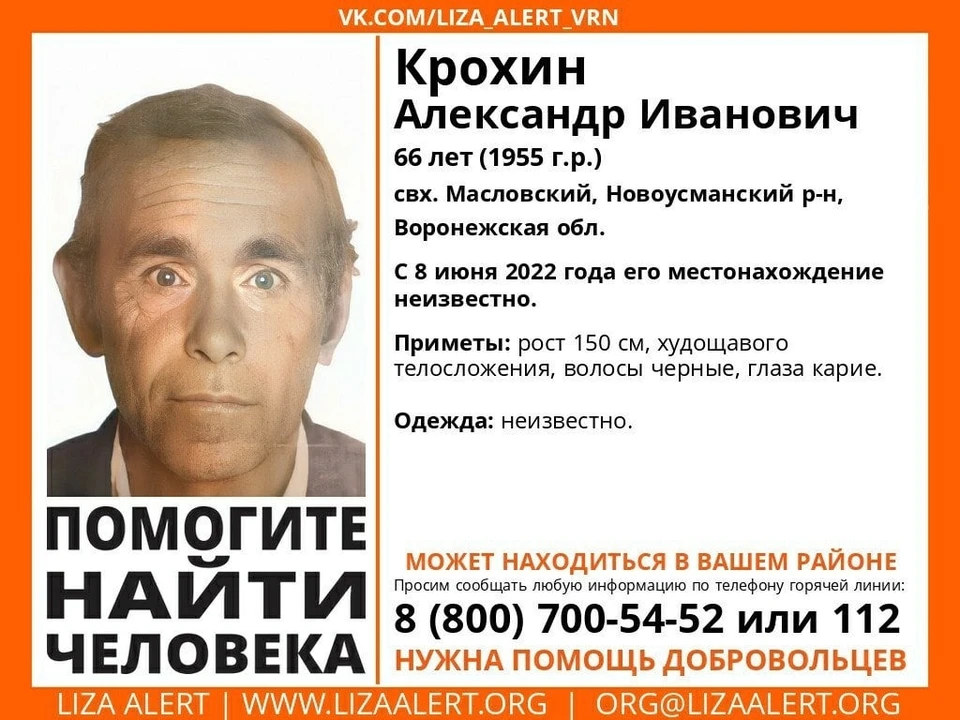 Фото со страницы сообщества "Поисковый отряд "ЛизаАлерт" Воронежской области" соцсети "Вконтакте"