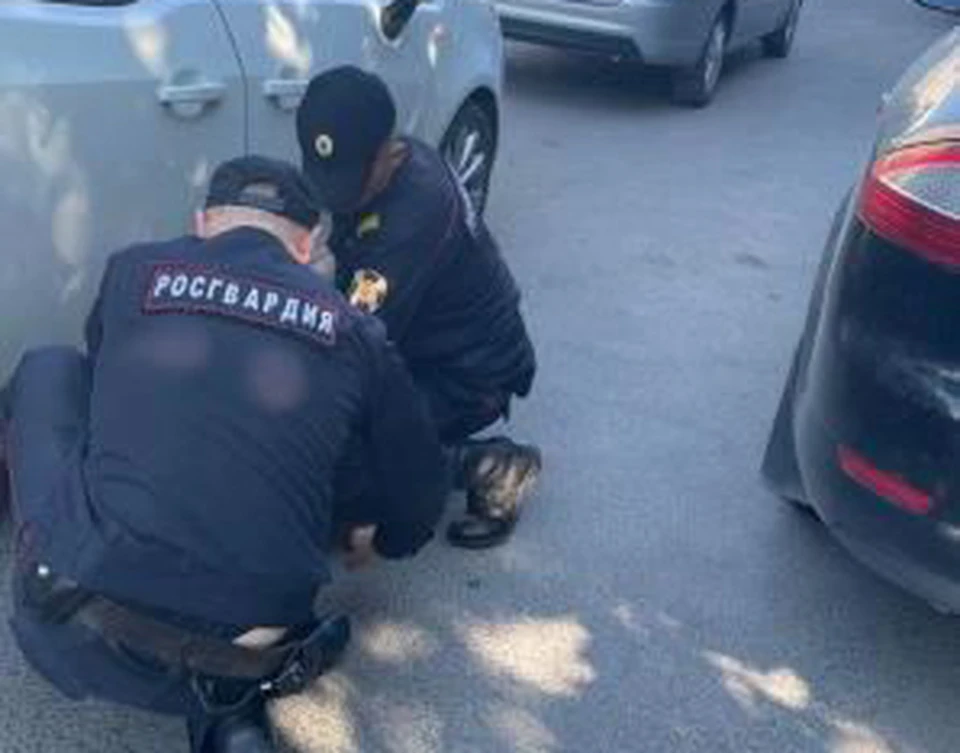 ФОТО: сайт Росгвардии по Ульяновской области