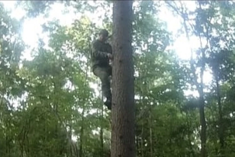 Двух браконьеров сняли с деревьев в «Хехцирском» заказнике Хабаровского края
