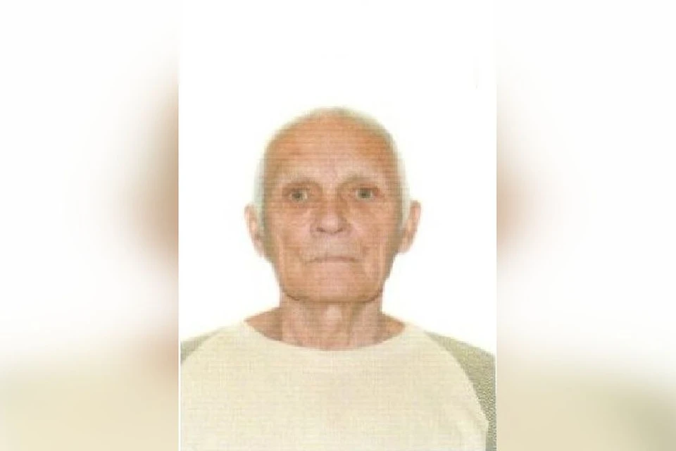 В поселке Элитный Новосибирской области ищут 79-летнего Анатолия Ивановича Вавилина. Фото: "ЛизаАлерт Новосибирск"
