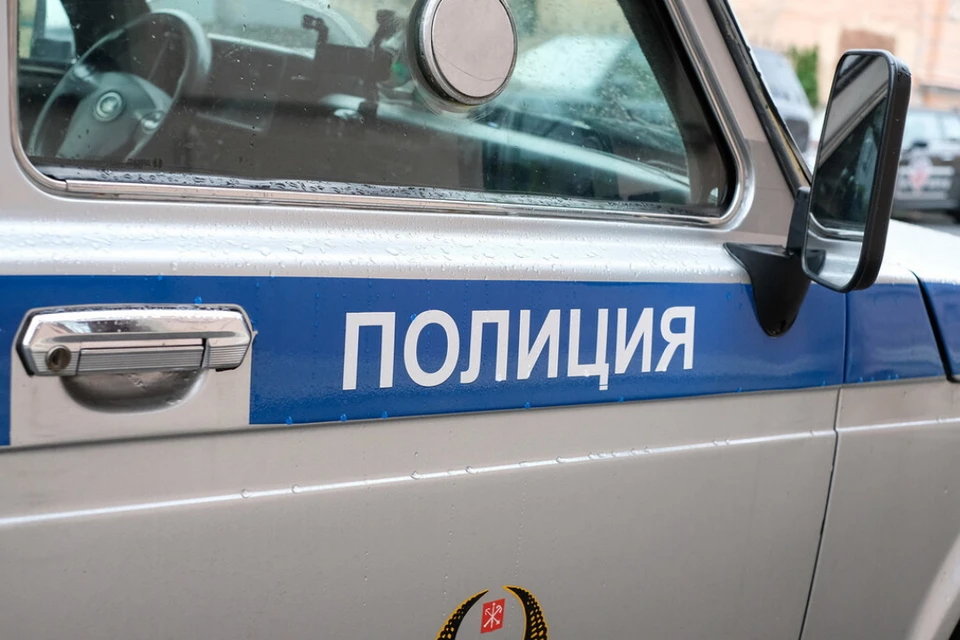 Петербурженка потеряла платиновую цепочку с крестиком и бриллиантами.