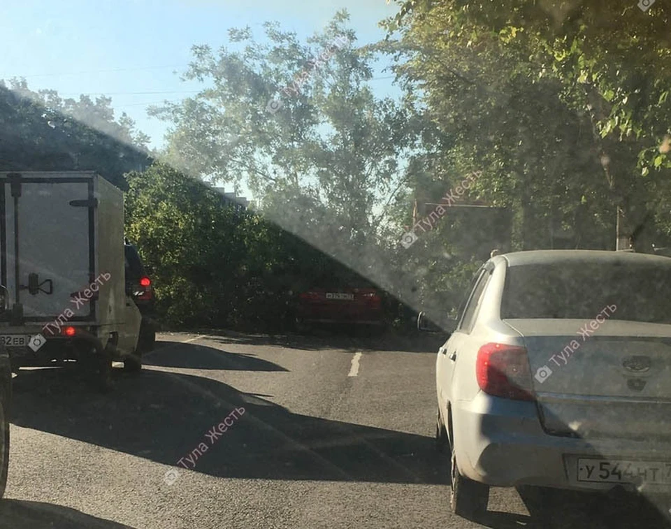 В Туле на улице Металлургов упавшее дерево стало причиной затора на дороге