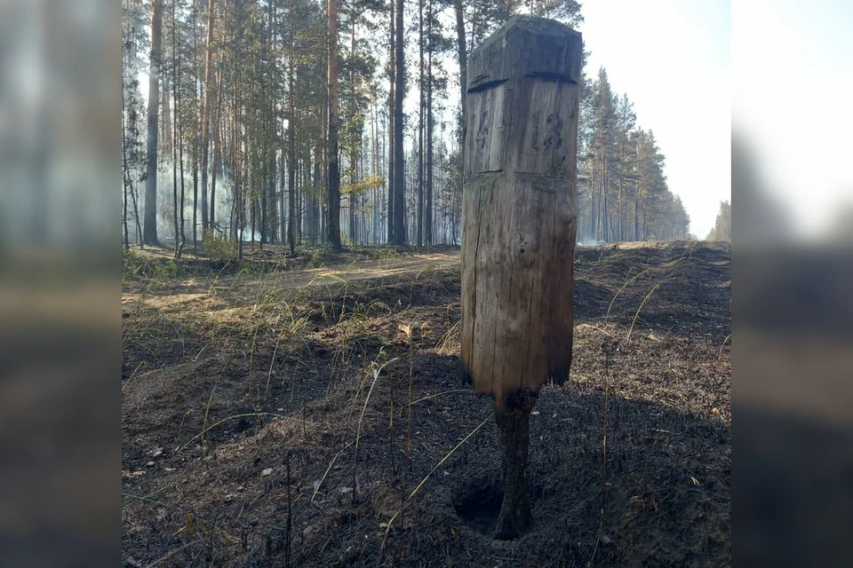 Спасателям удается защитить от огня населенные пункты. Фото: Минприроды АК