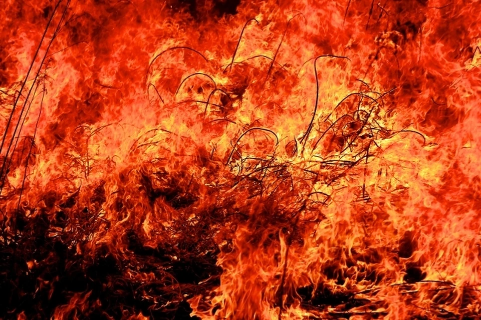 Пожар случился в Камышине