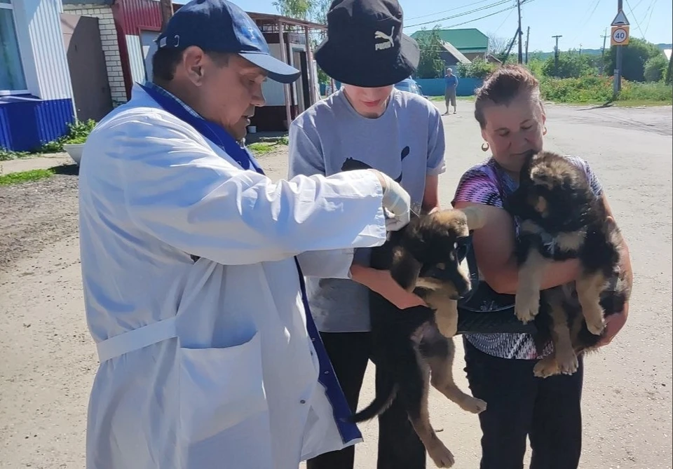 ФОТО: группа в ВК Агентства ветеринарии Ульяновской области
